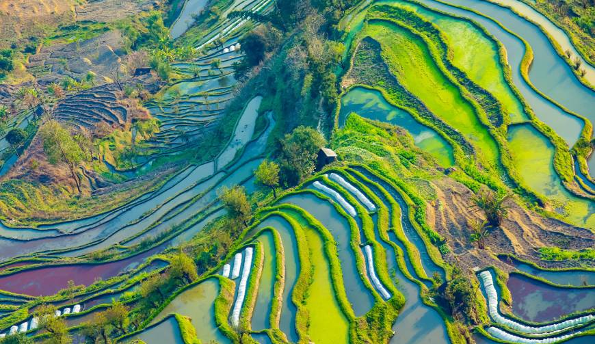 走进莲花县TVC拍摄：解锁本地化场景与创意镜头的完美融合